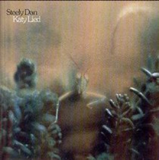 Katy Lied