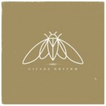 Cicada Rhythm