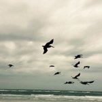 In a Moment: Music for Piano & Strings