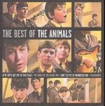 Best Of The Animals