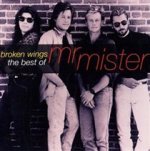 Broken Wings
