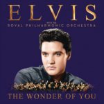 The Wonder of You