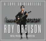A Love So Beautiful