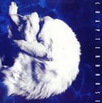 Whirlpool [bonus Tracks]