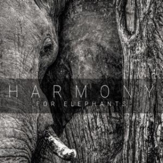 Harmony for Elephants