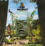 Beauté Des Mirages