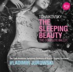 Tchaikovsky: The Sleeping Beauty