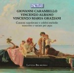 Giovanni Caramiello/Vincenzo Albano/Vincenzo Maria Graziani