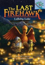 Lullaby Lake: A Branches Book (the Last Firehawk #4) (Library Edition), 4