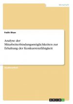 Analyse der Mitarbeiterbindungsmöglichkeiten zur Erhaltung der Konkurrenzfähigkeit