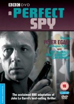 Perfect Spy