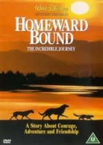 Homeward Bound