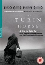 Turin Horse