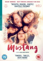 Mustang