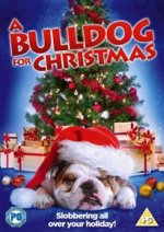 Bulldog for Christmas