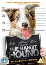 Bandit Hound