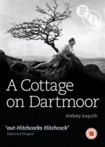 Cottage On Dartmoor