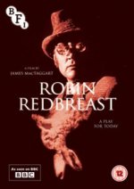 Robin Redbreast