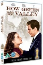 How Green Was My Valley