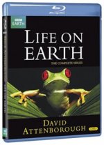 Life On Earth