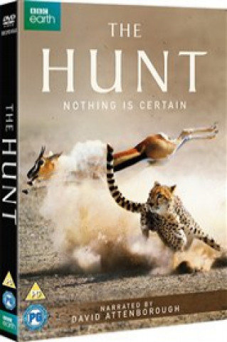 Hunt