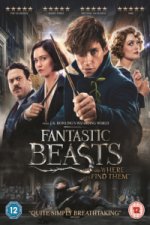 Fantastic Beasts and Where to Find Them