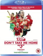 Don't Take Me Home