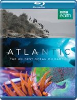 Atlantic - The Wildest Ocean On Earth