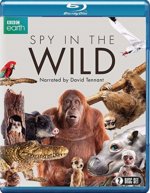 Spy in the Wild