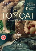 Tomcat