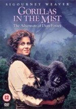 Gorillas in the Mist