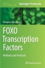 FOXO Transcription Factors