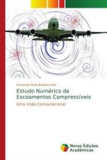 Estudo Numerico de Escoamentos Compressiveis