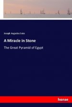 A Miracle in Stone