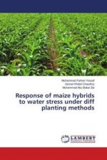 Response of maize hybrids to water stress under diff planting methods