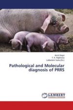 Pathological and Molecular diagnosis of PRRS