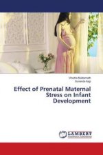 Effect of Prenatal Maternal Stress on Infant Development