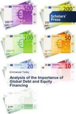 Analysis of the Importance of Global Debt and Equity Financing