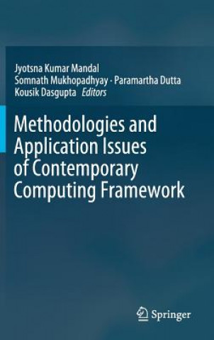 Methodologies and Application Issues of Contemporary Computing Framework