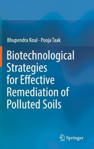 Biotechnological Strategies for Effective Remediation of Polluted Soils