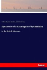 Specimen of a Catalogue of Lycaenidae