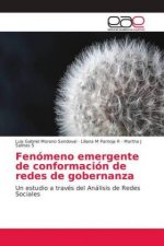 Fenomeno emergente de conformacion de redes de gobernanza