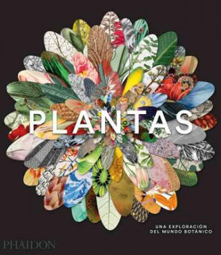 Plantas: Una Exploraci n del Mundo Bot nic (Plant: Exploring the Botanical World) (Spanish Edition)