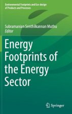 Energy Footprints of the Energy Sector