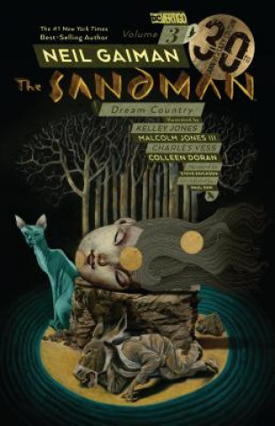 The Sandman Vol. 3