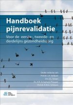 Handboek pijnrevalidatie
