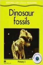 Msr3 dinosaur fossils - primary