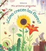 ¿CÓMO CRECEN LAS FLORES?