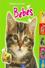 Bebés
