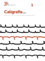 Caligrafía pauta montessori 1
